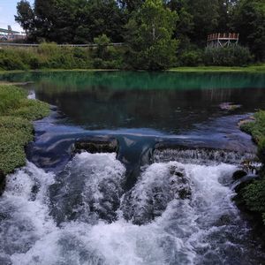 Meet your Posher, Rosanna